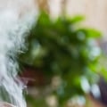 Does a vaporizer work with just water?