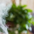 Is a humidifier or vaporizer better for colds?