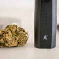 Which dry herb vaporizer smells the least?